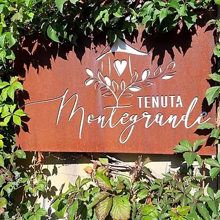 Tenuta Montegrande 3*